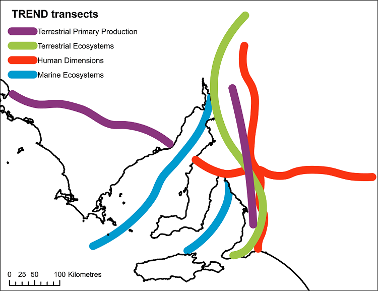 Map showing the transects in South Australia, image provided by Eleanor Dormontt